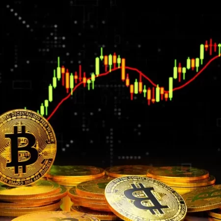 Crypto Fee Rebate Programs: Save More on Trading Costs